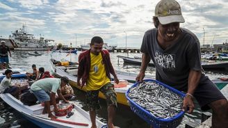 Investice do rybolovu by v Africe vytvořily až 300 tisíc pracovních míst