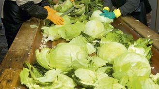 Zelináři: Do Česka se začala dovážet zelenina za dumpingové ceny