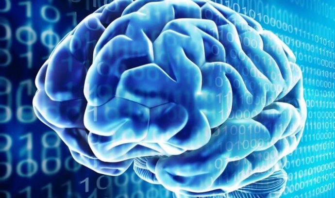 Nobelovu cenu za lékařství získali tři neurologové za objev „mozkové GPS“