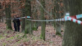 Hrůza na Přerovsku: V lese našli mrtvé mladíky! Šlo o sebevraždu nešťastných milenců?