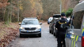 Tragédie v Brně: Řidič vyjel mimo zatáčku a zemřel po nárazu do stromu