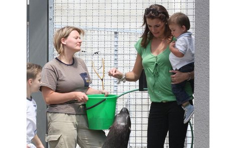 A atrakcí bylo v zoo hned několik, s malým synem vlezla Alena Šeredová i mezi lachtany.