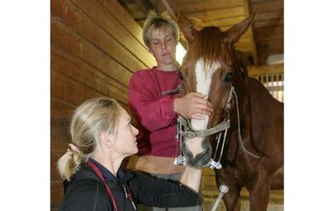Adéla kontroluje chrup, koně přidržuje majitelka stájí Soňa Špidlová.