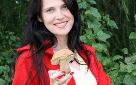 Češi patří mezi vášnivé houbaře.