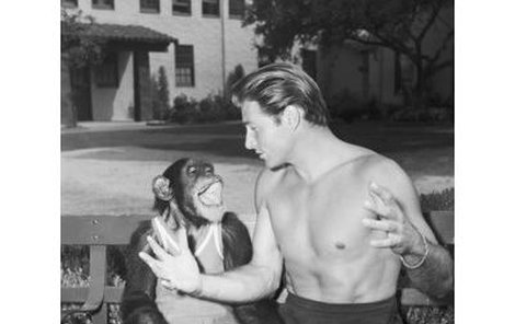 Cheeta si zahrála v 50. letech i po boku dalšího Tarzana – Lexe Barkera. 