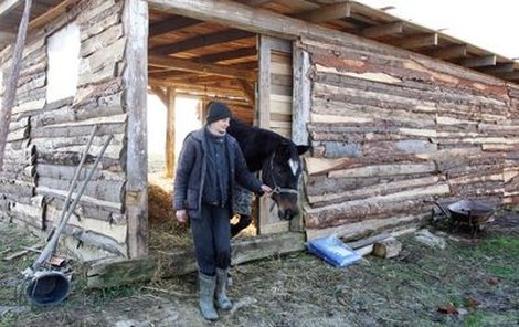 Chovatelce Zuzaně Polákové se za peníze dárců podařilo na zimu provizorně zastřešit bývalý kravín a postavit nový přístřešek pro zbytek koní. 