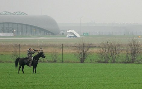 Člen ochranky letiště k býkovi dojel na dostřel a vypálil.