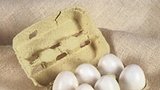 Britská slepice snesla rekordně velké vejce
