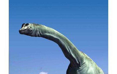 Dinosauři se kdysi proháněli po celé naší zemi. NEJVĚTŠÍ z nich: Amphicoelias fragillimus
