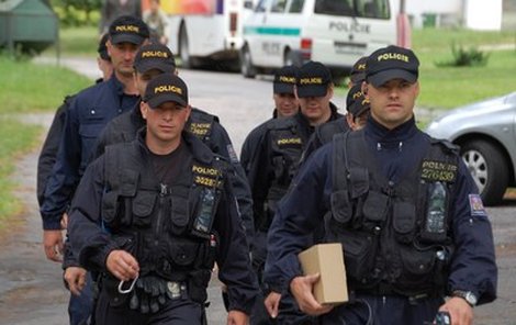 Do Nořína okamžitě vyjel tým policistů, během dne je následovali veterináři a vojáci.