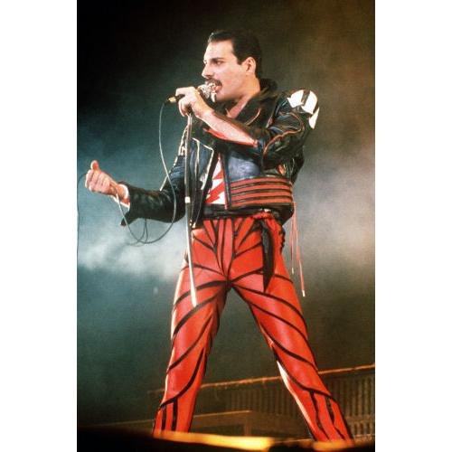 Freddie Mercury říkal: „Nikdy nebudu slavným, ani nechci být. Já budu legendou!“ A měl pravdu…