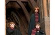 Harry Potter, Ron a Hermiona