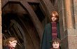 Harry Potter, Ron a Hermiona.