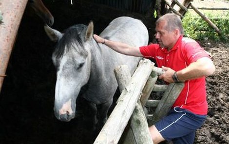 Hned nad sportovním areálem v Modré, kam jezdí Teplice, Most, Jablonec a další týmy, se celé léto pasou koně. Petr Rada za nimi během soustředění občas zajde. Nachází tu klid, diskuse o budoucím trenérovi ho nechávají chladným.