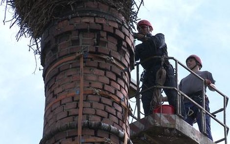 Horolezci hnízdo opatrně ukotvili na jeřáb.