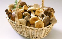 Přichází houbařský víkend! 10 tipů na správné zpracování hub!