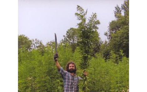 Hurá, konečně je pěstování marihuany povoleno, raduje se Petr Žáček.