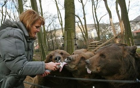 I když méďové nešetřili přívětivostí, mají před nimi i jejich lidští přátelé stále respekt.