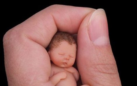 Jak je vidět z fotografie, miminko je opravdu malinkaté, v ruce se takřka ztrácí. Přesto vypadá úplně jako živé!