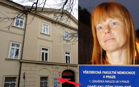 Ještě před pár týdny na tomto oddělení Všeobecné fakultní nemocnice v Praze bojovala Lenka Kořínková za asistence lékařů s démonem alkoholu. Dnes už je doma. Jestli byla léčba úspěšná, ukáže čas...