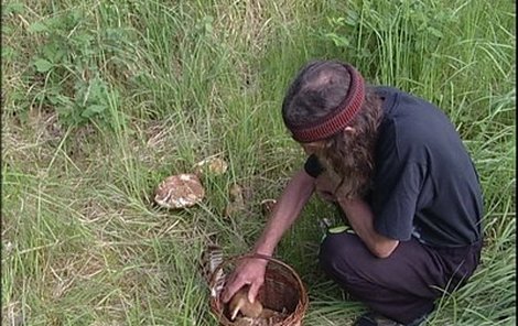 Jiří Schejbal nosí plné košíky hub už od začátku května.