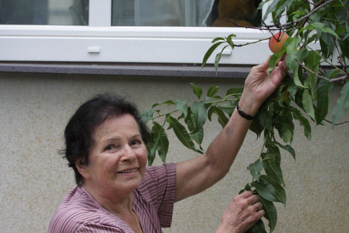 Jiřina Švorcová