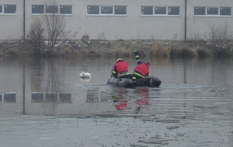 K labuti se hasiči prosekávali dlouhé minuty.