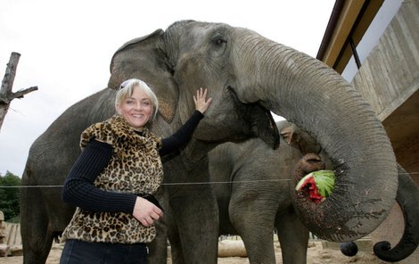 Kateřina Hamrová se s jedním slonem v zoo dokonce i pomazlila.