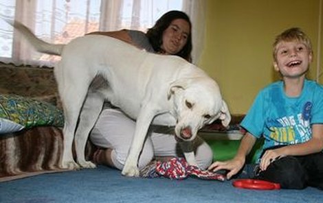 Labradorka Lara se stará o postiženého Mirečka.