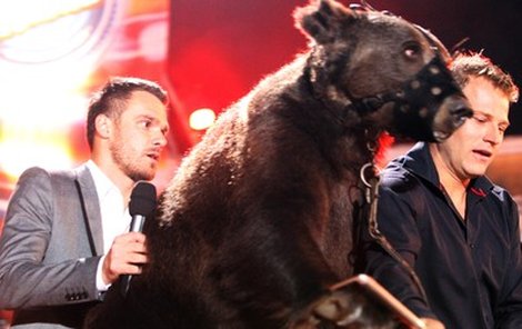 Leoš Mareš se svezl na motorce řízené medvědem, kterého vedl bývalý partner herečky Antalové Jiří Berousek. 