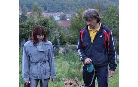 Manželé Jüttnerovi na procházce s gepardem.