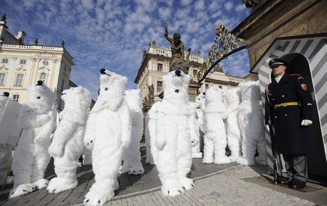 Medvědi před Pražským hradem.