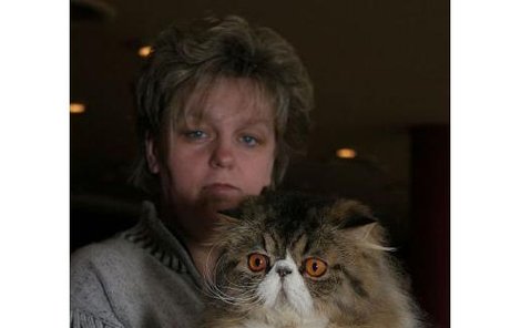 Miroslava Litvanová je na své kočky patřičně hrdá. Loni získala titul Nejlepší chovatelská stanice perských a exotických koček v České republice. 