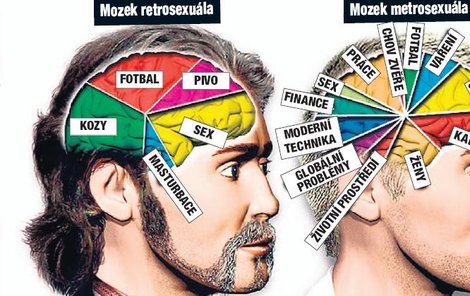 Mozek retrosexuála a mozek metrosexuála