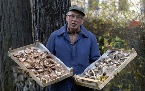 Mykolog Jaroslav Sedláček ukazuje víkendový úlovek.