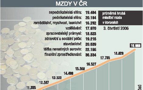 Mzdy v ČR