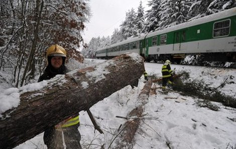 Na projíždějící rychlík na trati Cheb-Plzeň spadl zasněžený strom... 