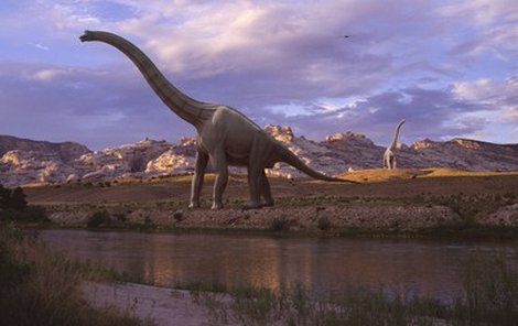 Největší suchozemský tvor: Býložravý dinosaurus jménem Amphicoelias fragillimus – měřil na délku až 62 m, byl vy-soký 25 m a vážil 130 tun. Žil na Zemi před 150 miliony let.