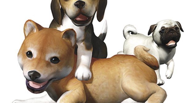 Nintendo DS: Nintendogs