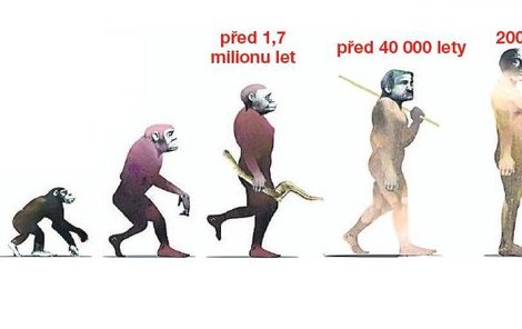 Od opice k modernímu člověku. Zde se evoluce zastavila, další vývoj nás podle vědců nečeká.