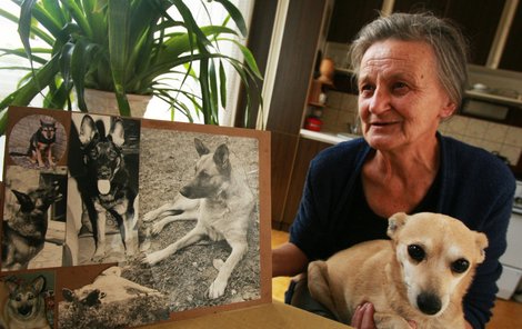 Paní Váňová se už 40 let stará o psí vysloužilce.