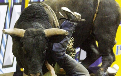 Pocuchané nervy šel Jágr s přítelkyní Innou léčit na rodeo