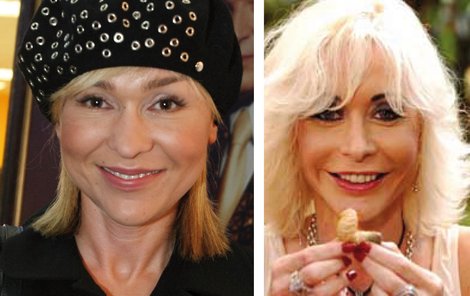 Podoba Kateřiny Hrachovcové (vlevo) s bývalou pornoherečkou Dolly Buster je evidentní.