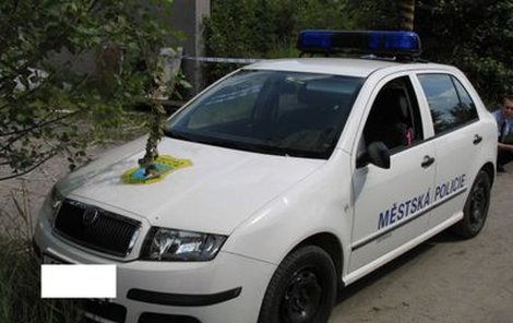 Policistům pštros vykopl okno.