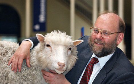 Profesor Ian Wilmut, hlava týmu, který má na svědomí život ovce Dolly. Na snímku se svou »dcerou« v době, kdy se ještě zdálo, že je ovce v pořádku.
