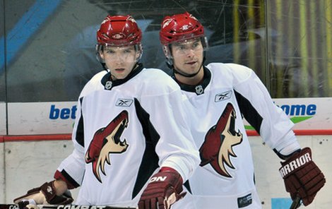 Radim Vrbata a Petr Průcha hájí zase barvy Phoenixu.