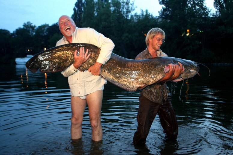 Rex Hunt a Jakub Vágner zdolali obřího sumce u Císařské louky na Vltavě.