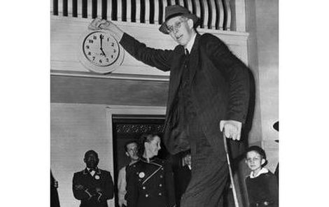 Robert Wadlow