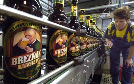 Speciální jednadvacetistupňové pivo Březňák je zatím nejsilnější u nás.