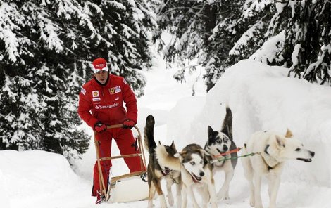 Spřežení čtyř tažných psů dokáže Fernando Alonso zkrotit se stejnou grácií jako monopost formule 1 s výkonem přes 700 koní.